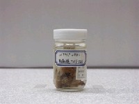 藏品(背帶長絨鮋)的圖片